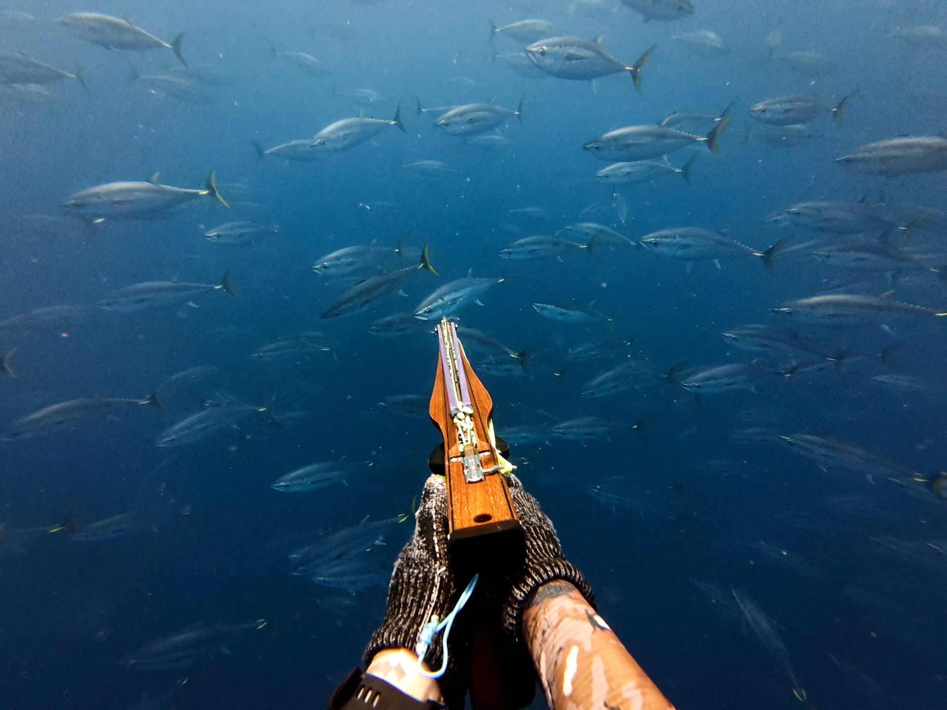 Freediving in the ocean, the world that inspires LOH Made
